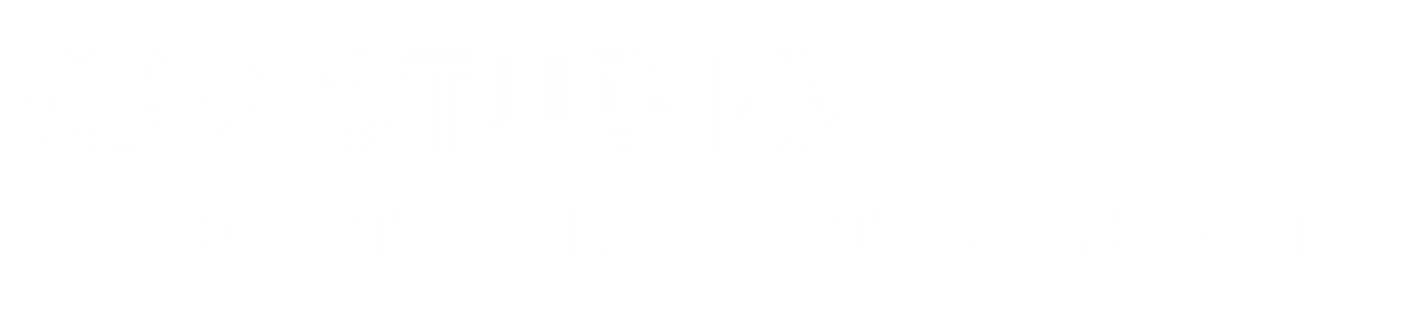 Video Portfolio Logo